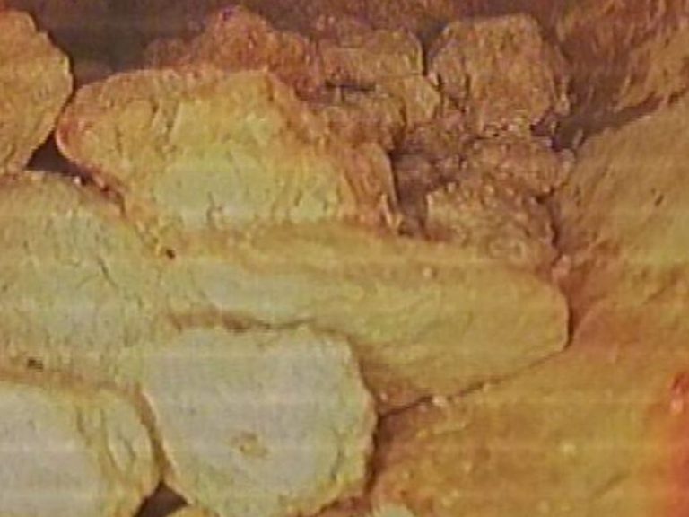 Sewer camera image of roots inside a drain line