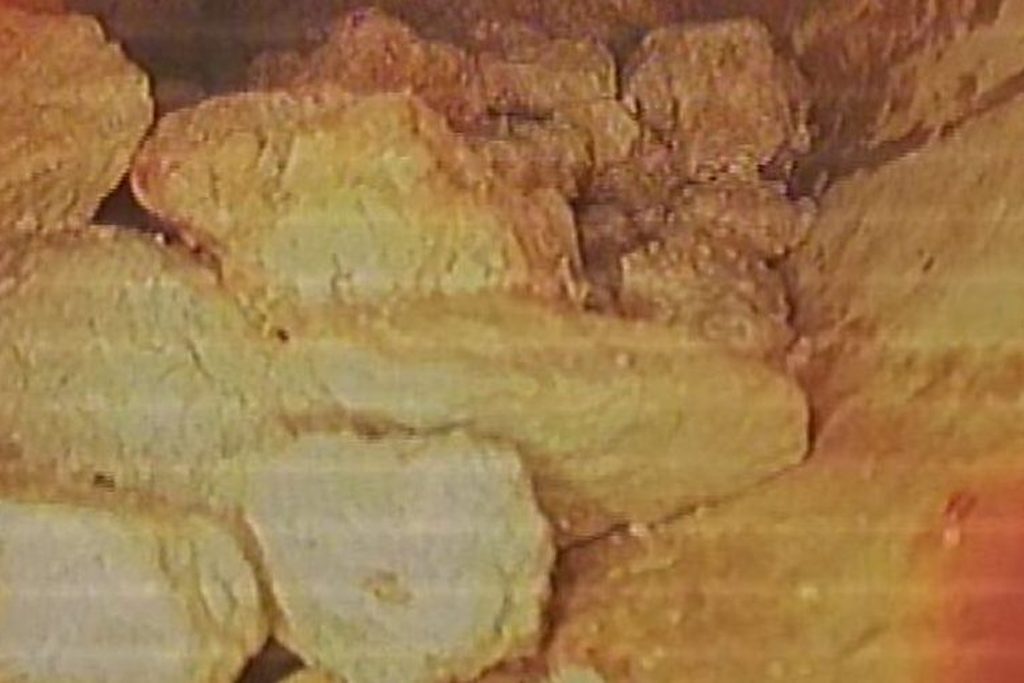 Sewer camera view of roots inside a drain line